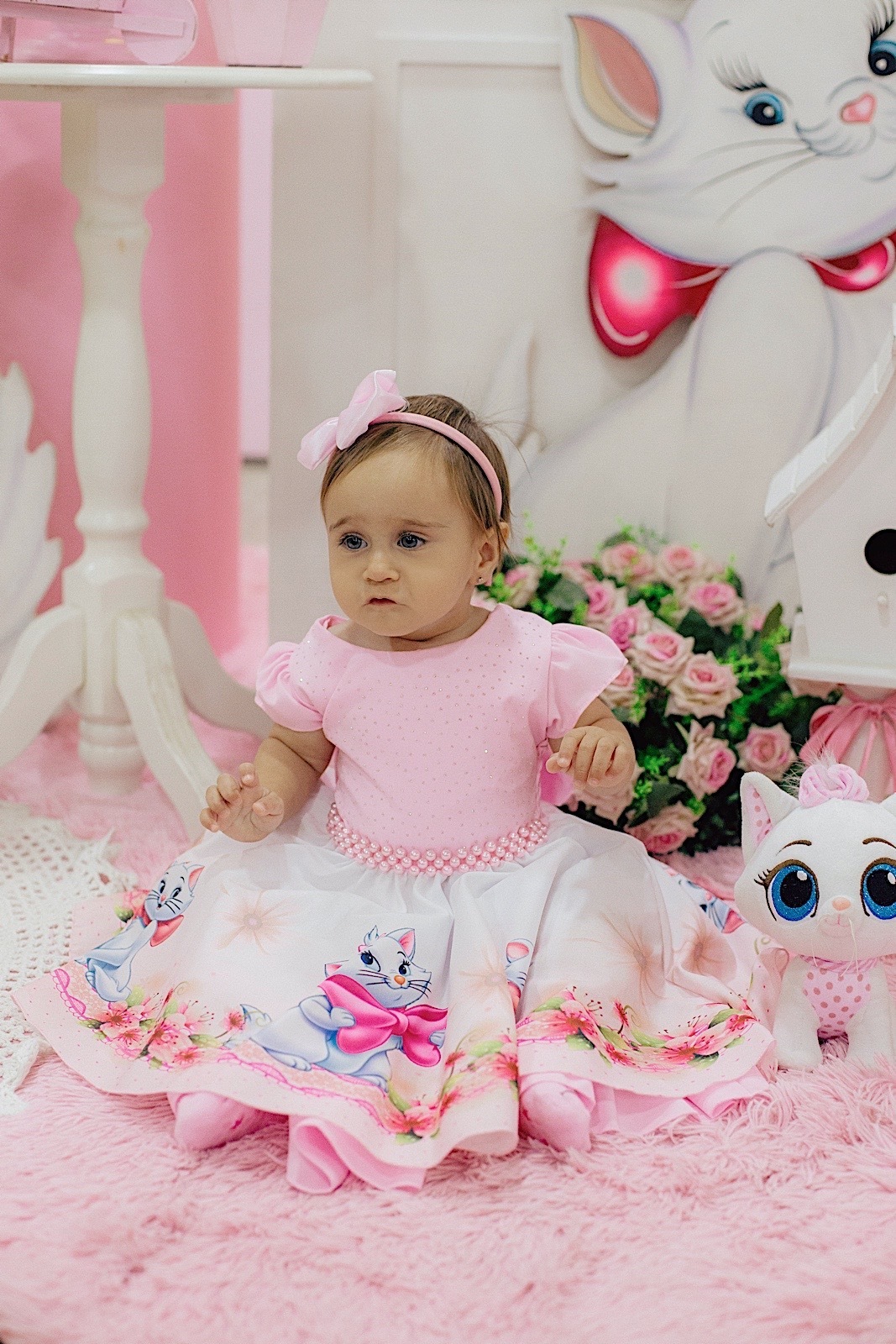 aniversario - aniversario infantil - festa de aniversario - tema marie - liz catarina 1 ano - primeiro aninho - fotografia infantil - fotografos jaragua do sul - chroma fotografia