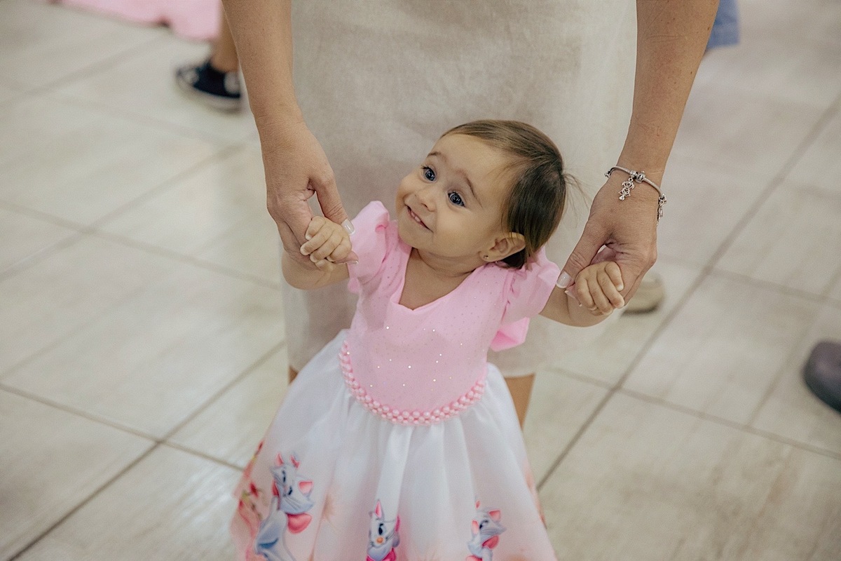 aniversario - aniversario infantil - festa de aniversario - tema marie - liz catarina 1 ano - primeiro aninho - fotografia infantil - fotografos jaragua do sul - chroma fotografia