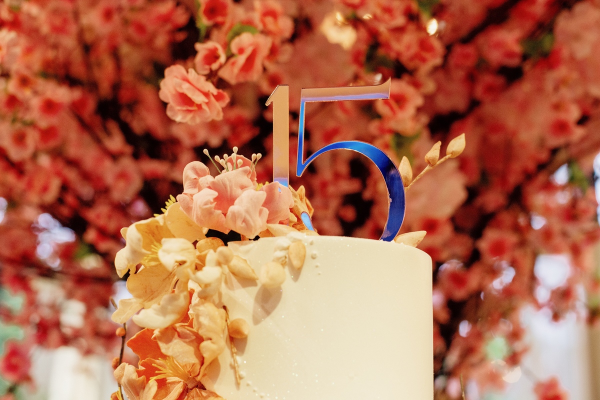 aniversario - aniversario 15 anos - 15 anos isadora - festa de 15 anos - fotografos jaragua do sul - chroma fotografia