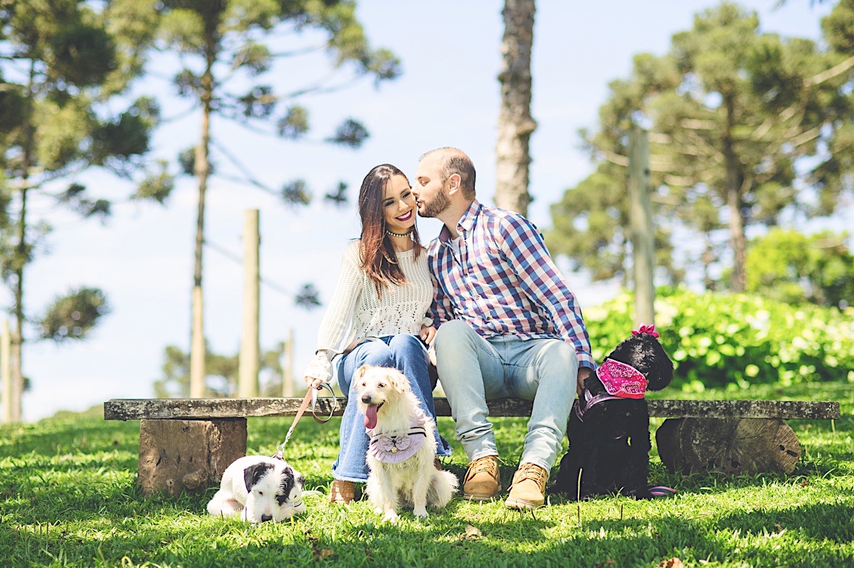 ensaio casal - bianca - henrique - ensaio com cachorro - campo alegre - fotografia - são bento do sul - chroma fotografia