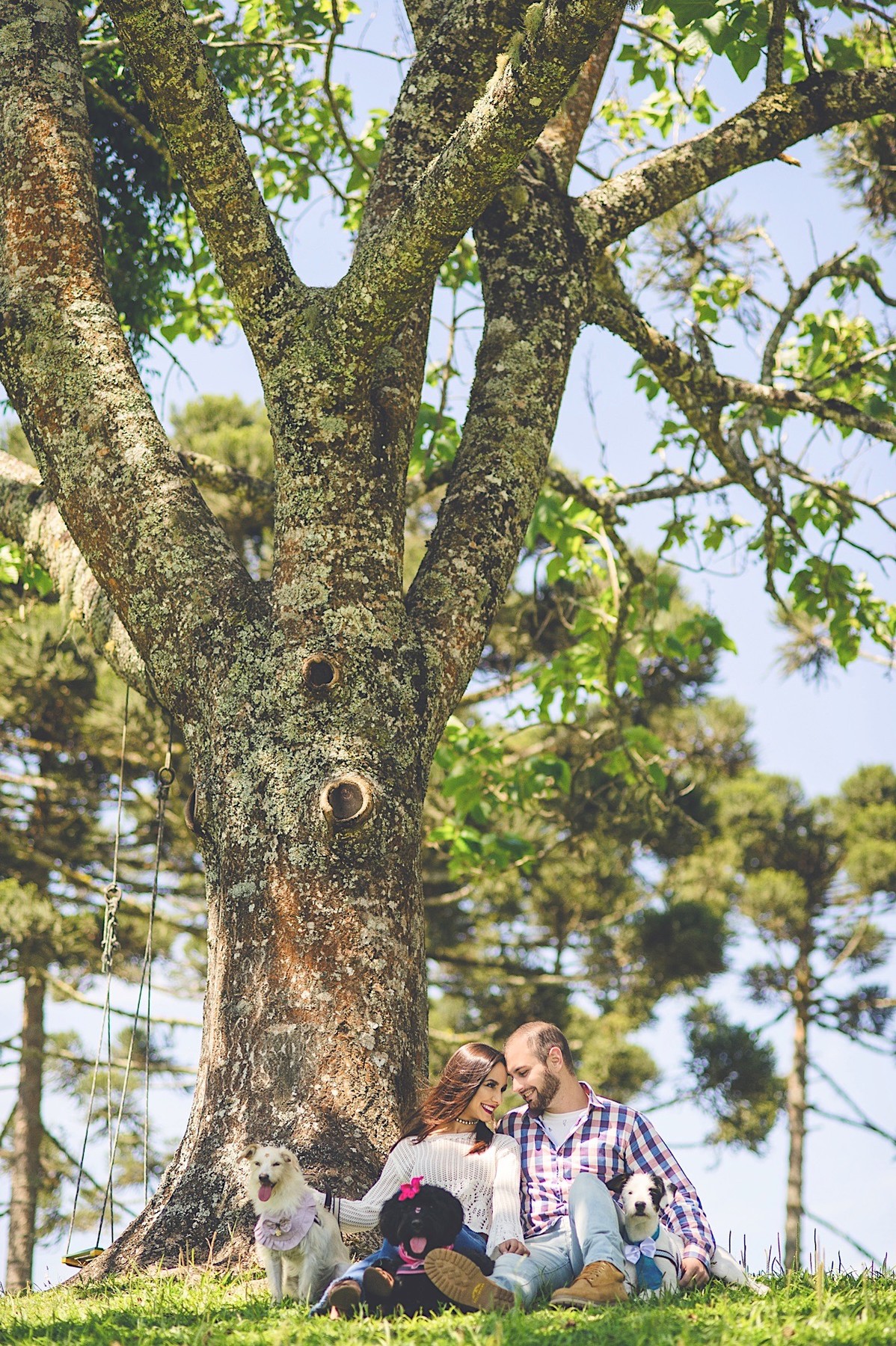ensaio casal - bianca - henrique - ensaio com cachorro - campo alegre - fotografia - são bento do sul - chroma fotografia