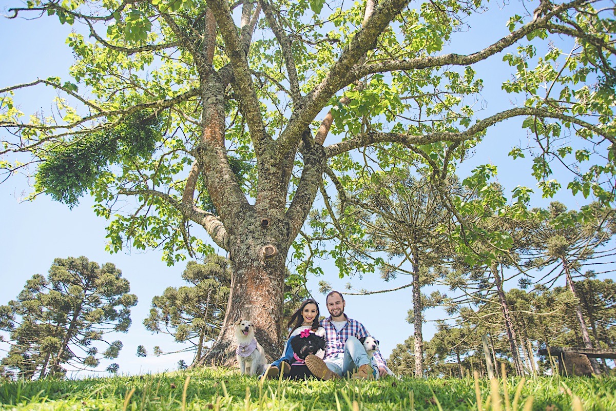 ensaio casal - bianca - henrique - ensaio com cachorro - campo alegre - fotografia - são bento do sul - chroma fotografia