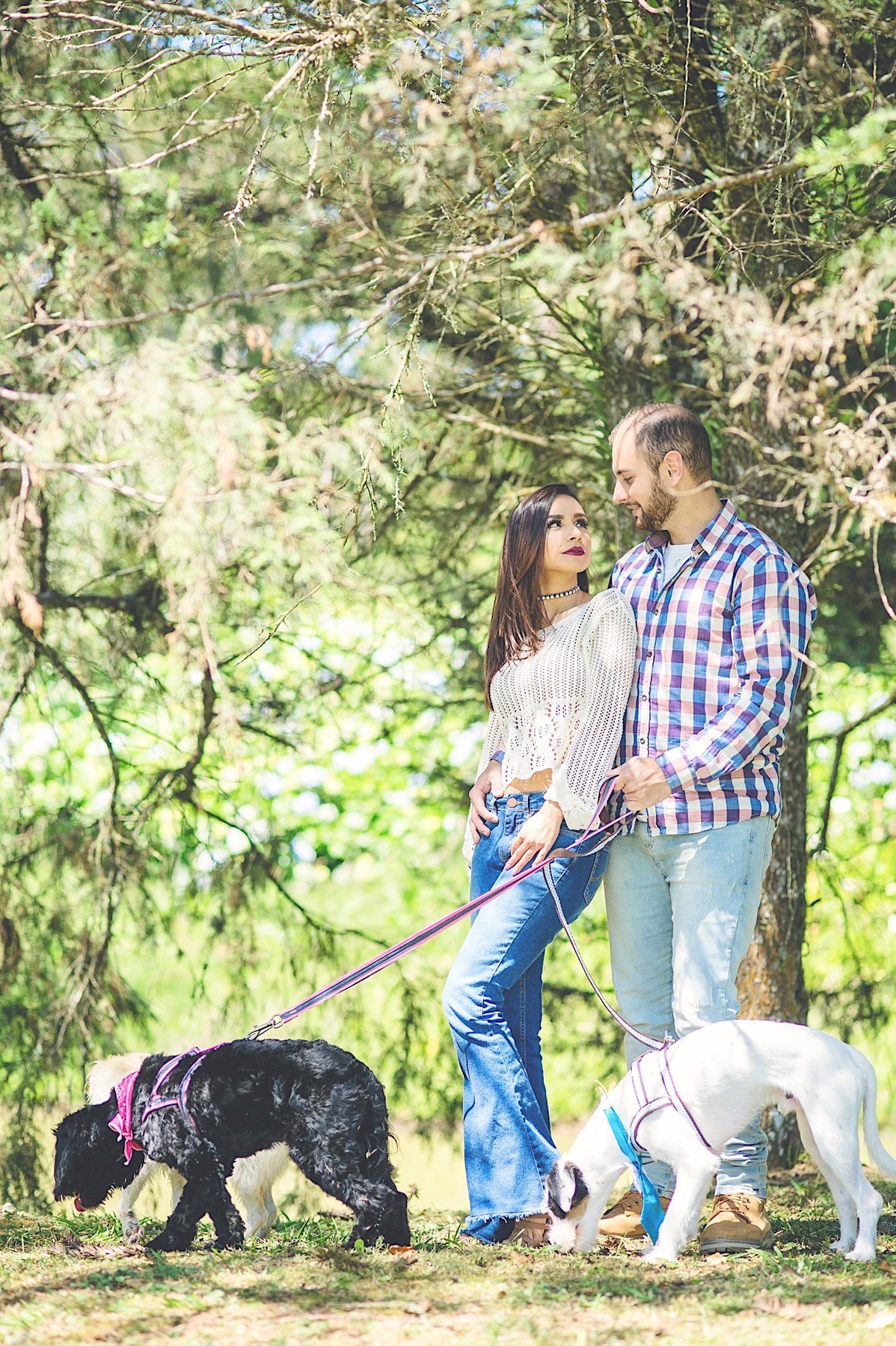 ensaio casal - bianca - henrique - ensaio com cachorro - campo alegre - fotografia - são bento do sul - chroma fotografia