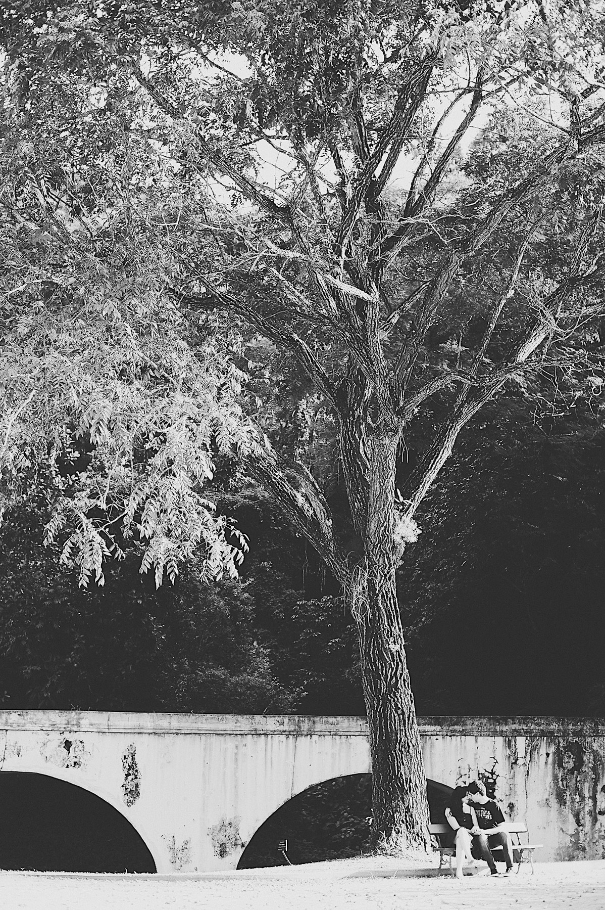 ensaio casal - rio de janeiro - jb - jardim botânico - destination photographer - chroma fotografia