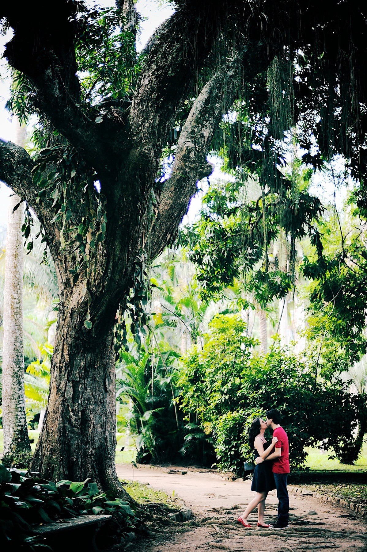 ensaio casal - rio de janeiro - jb - jardim botânico - destination photographer - chroma fotografia