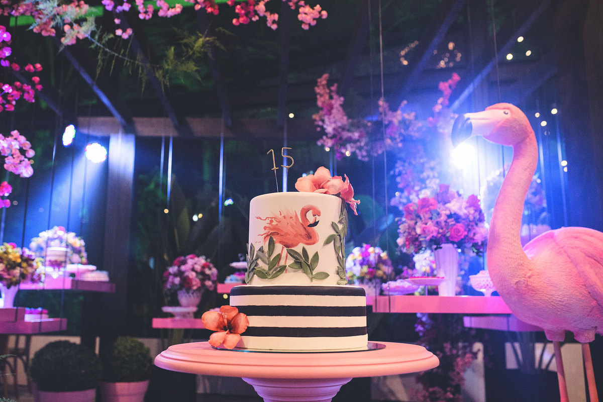 aniversário - aniversário 15 anos - Gabriela 15 anos - fotografo jaraguá do sul - aniversário no quintal vip - chroma fotografia