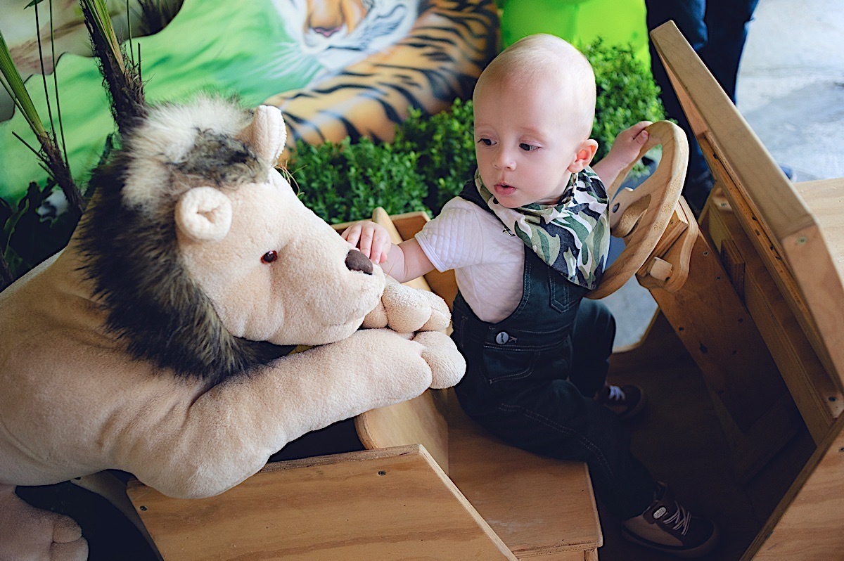 aniversário - 1 ano - selva - pedro - rio negrinho - fotógrafo rio negrinho - chroma fotografia - mãe de menino