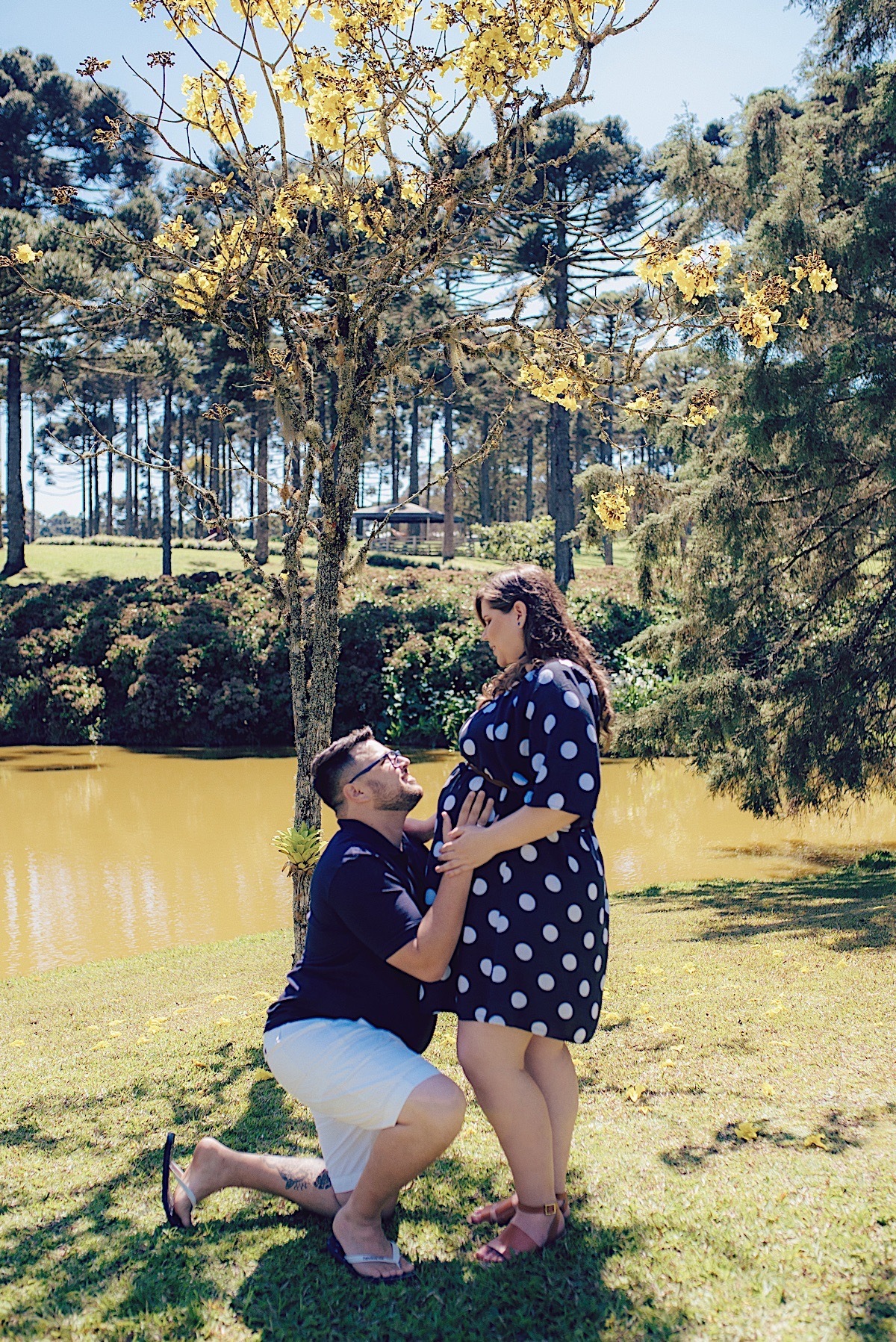 ensaio gestante - armazém dona francisca - campo alegre - chroma fotografia - ensaio ao ar livre - mãe de menino - ensaio em campo alegre - ensaio com araucária