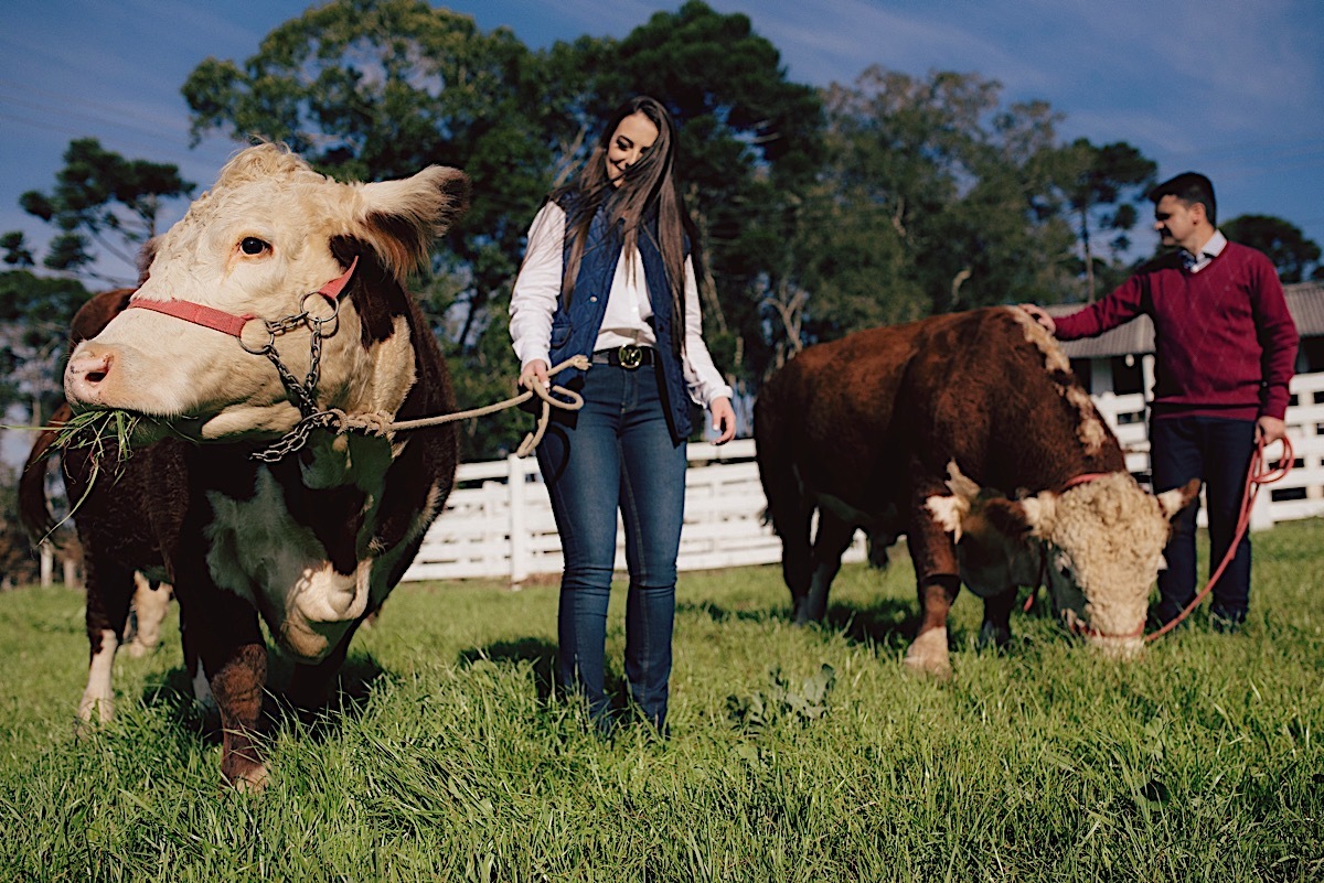 ensaio casal - fazenda - vida campeira - hereford - volta grande - rio negrinho - fotógrafo rio negrinho - chroma fotografia - milena - thobias