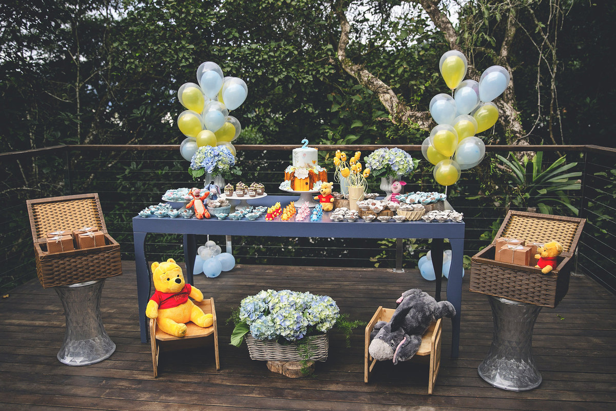 aniversário - aniversário infantil - aniversário em jaraguá do sul - gabriel 2 anos - fotografia infantil - fotografos jaraguá do sul - chroma fotografia