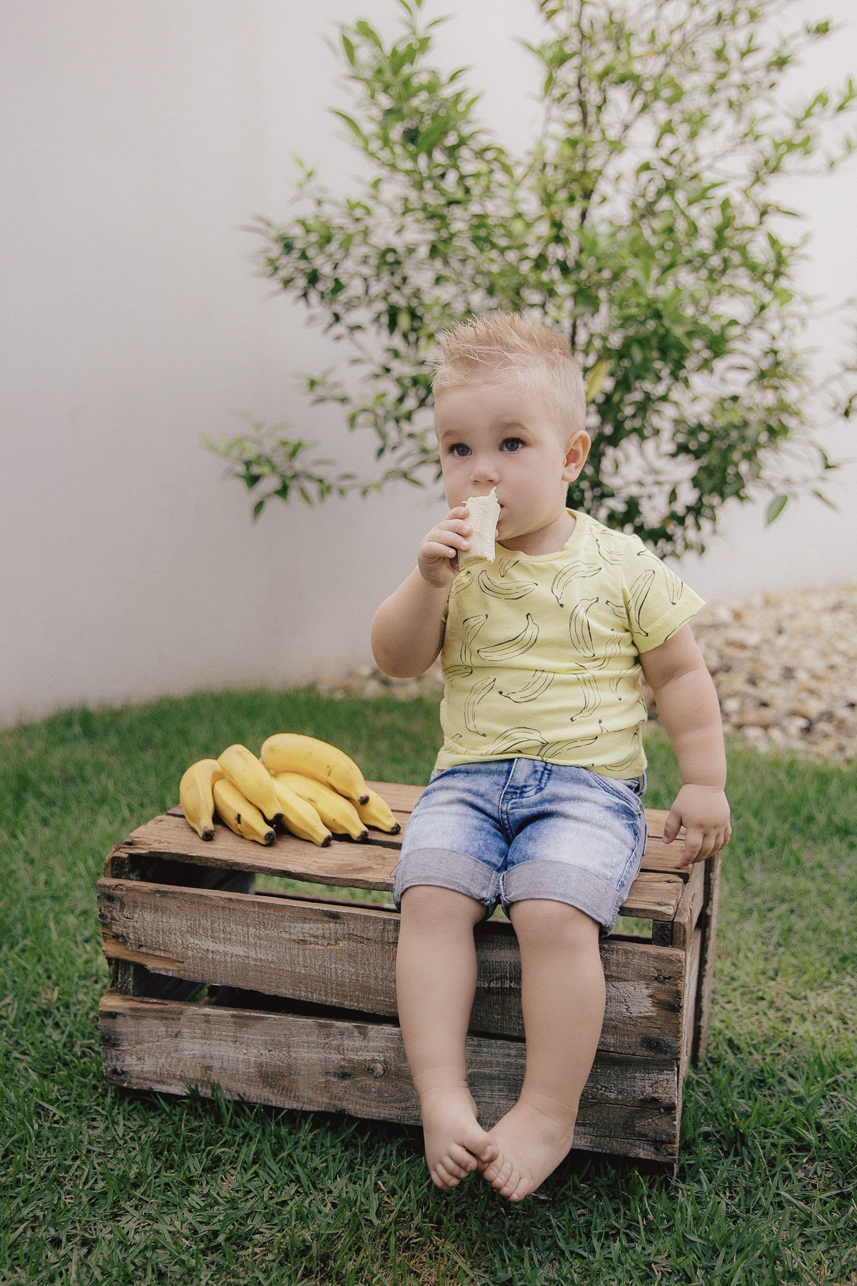 ensaio infantil - ensaio família - fotografia de família - fotografia infantil - fotografos jaraguá do sul - Ensaio Luca 2 anos - ensaio em jaraguá do sul - ensaio em casa - chroma fotografia