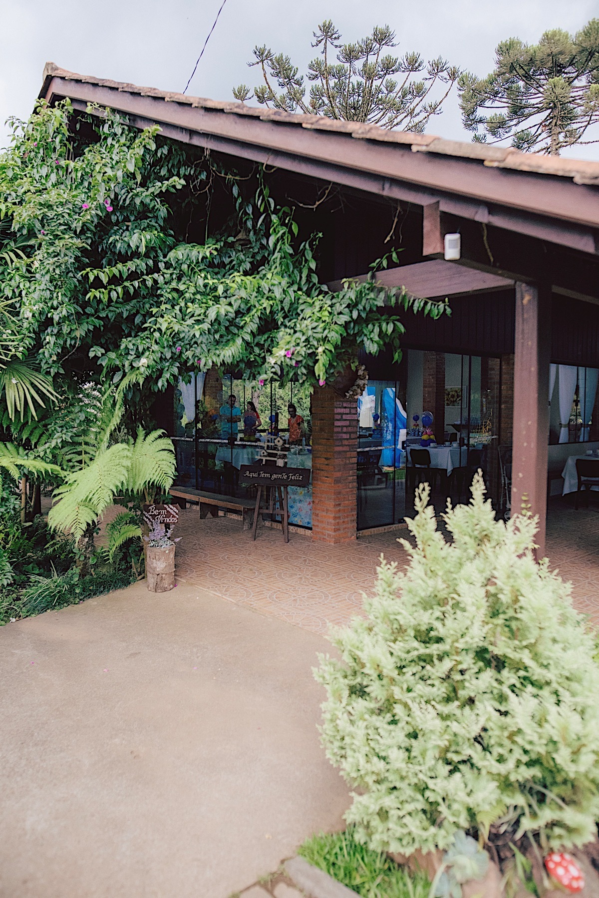 aniversario - 1 ano - sonho dos ventos - chacara - sao bento do sul - baby shark - tema - pietro - aniversario infantil - chroma fotografia