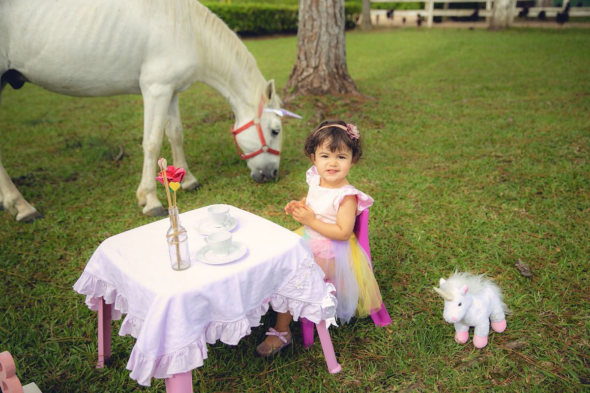 ensaio fotografico - ensaio infantil - ensaio externo - ensaio com cavalos - ensaio pré aniversário - ensaio em jaragua do sul - Beatriz 2 anos - fotografos jaragua do sul - chroma fotografia