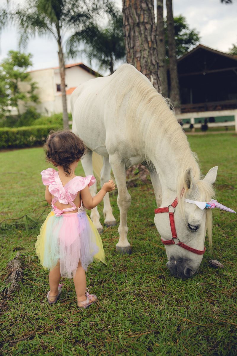 ensaio fotografico - ensaio infantil - ensaio externo - ensaio com cavalos - ensaio pré aniversário - ensaio em jaragua do sul - Beatriz 2 anos - fotografos jaragua do sul - chroma fotografia
