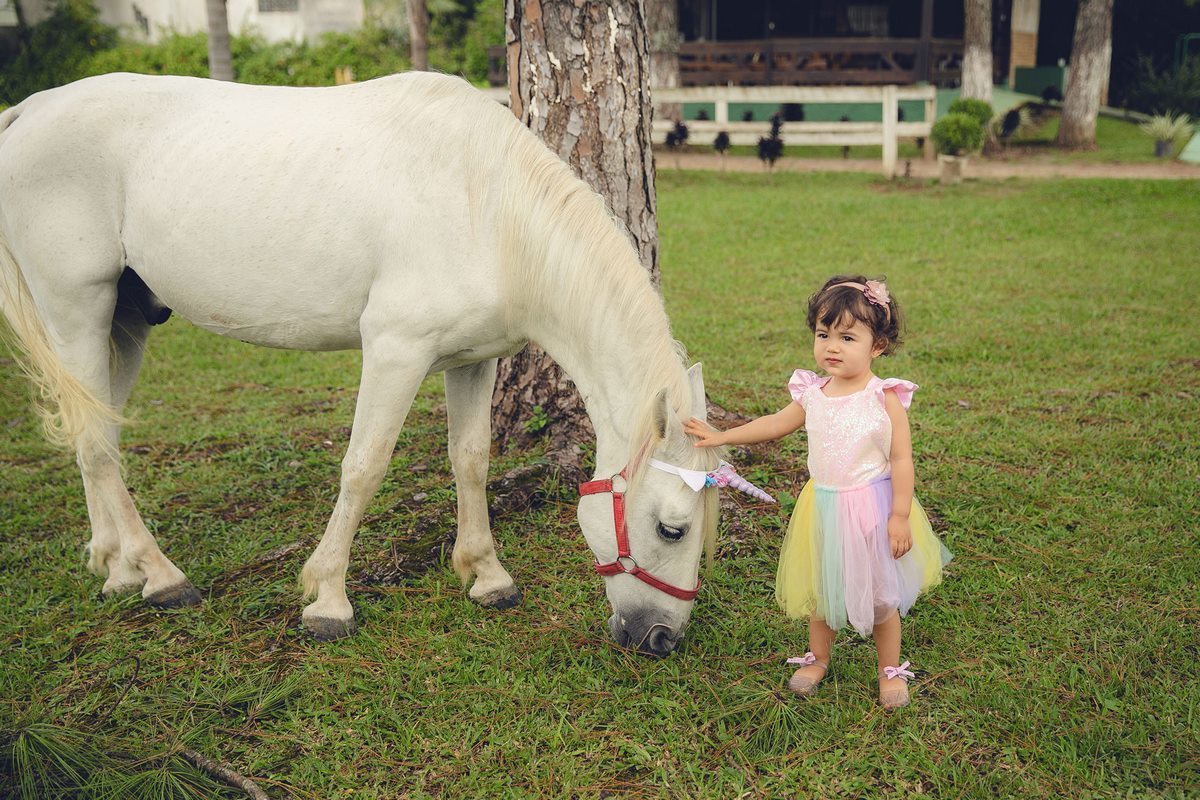 ensaio fotografico - ensaio infantil - ensaio externo - ensaio com cavalos - ensaio pré aniversário - ensaio em jaragua do sul - Beatriz 2 anos - fotografos jaragua do sul - chroma fotografia