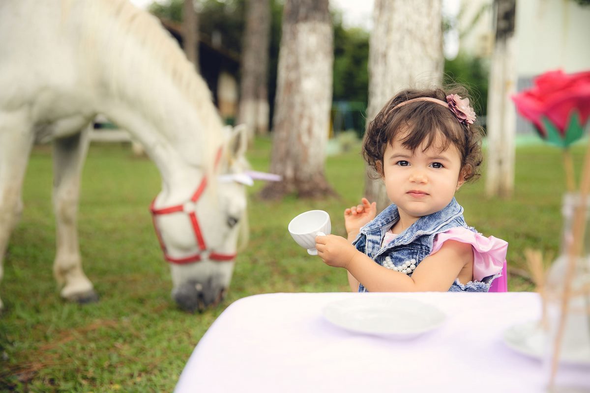 ensaio fotografico - ensaio infantil - ensaio externo - ensaio com cavalos - ensaio pré aniversário - ensaio em jaragua do sul - Beatriz 2 anos - fotografos jaragua do sul - chroma fotografia
