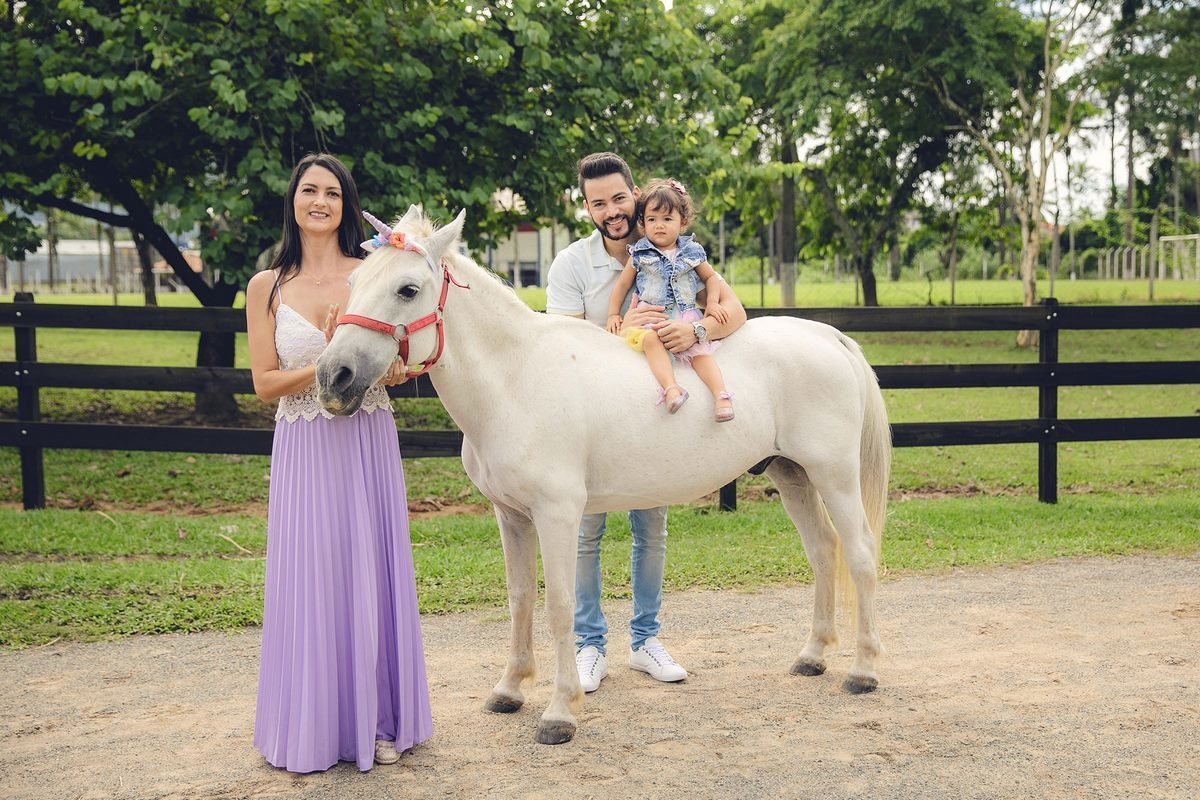 ensaio fotografico - ensaio infantil - ensaio externo - ensaio com cavalos - ensaio pré aniversário - ensaio em jaragua do sul - Beatriz 2 anos - fotografos jaragua do sul - chroma fotografia