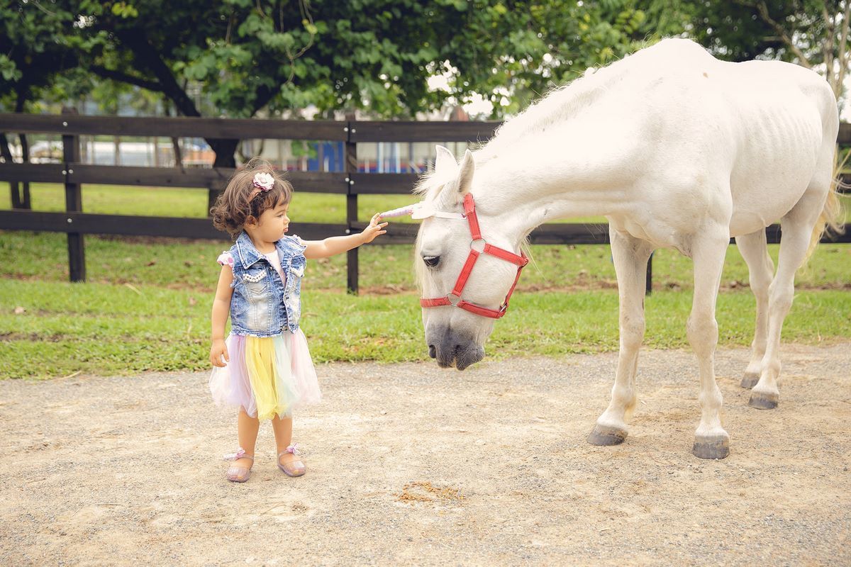 ensaio fotografico - ensaio infantil - ensaio externo - ensaio com cavalos - ensaio pré aniversário - ensaio em jaragua do sul - Beatriz 2 anos - fotografos jaragua do sul - chroma fotografia