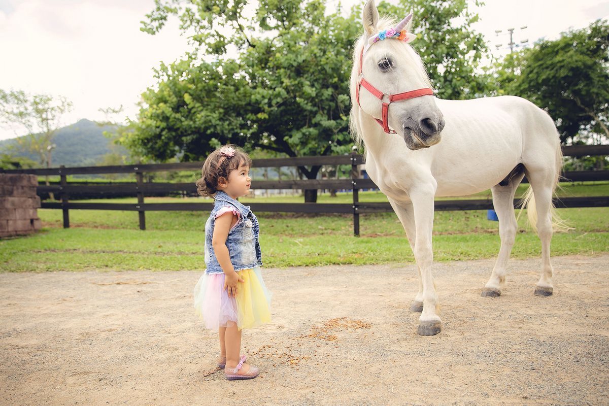ensaio fotografico - ensaio infantil - ensaio externo - ensaio com cavalos - ensaio pré aniversário - ensaio em jaragua do sul - Beatriz 2 anos - fotografos jaragua do sul - chroma fotografia