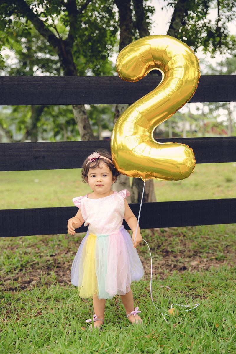 ensaio fotografico - ensaio infantil - ensaio externo - ensaio com cavalos - ensaio pré aniversário - ensaio em jaragua do sul - Beatriz 2 anos - fotografos jaragua do sul - chroma fotografia