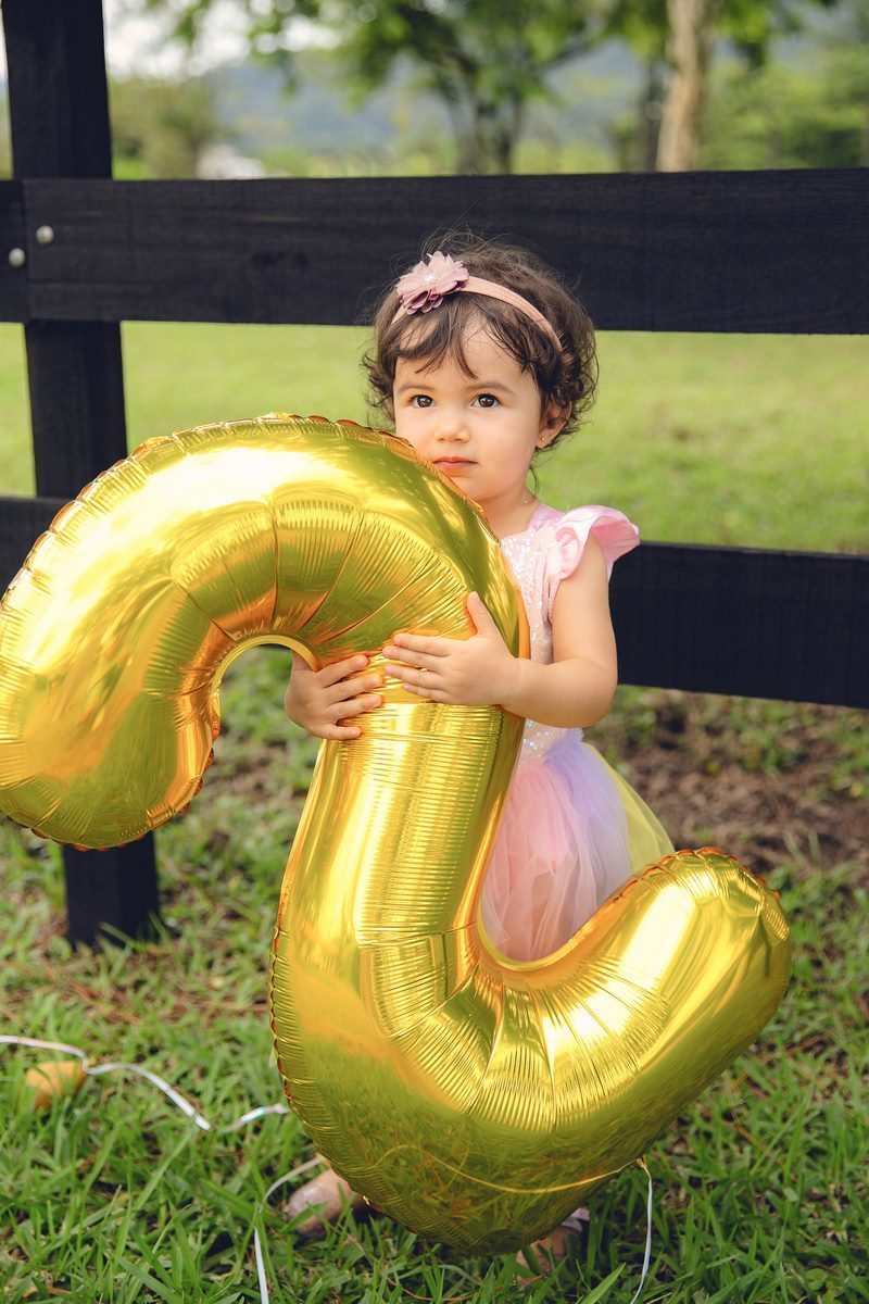 ensaio fotografico - ensaio infantil - ensaio externo - ensaio com cavalos - ensaio pré aniversário - ensaio em jaragua do sul - Beatriz 2 anos - fotografos jaragua do sul - chroma fotografia