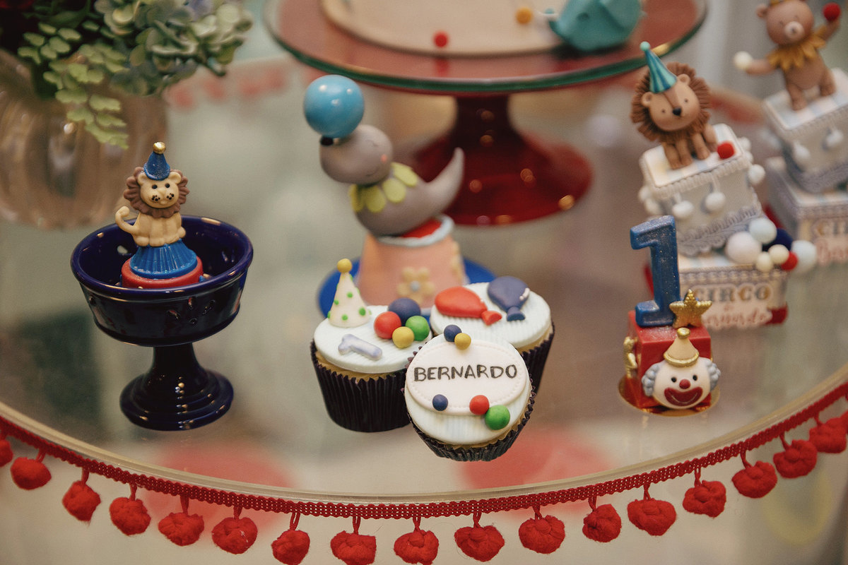 aniversario - aniversario infantil - tema circo - aniversario de circo - Bernardo 1 ano - aniversario em jaragua do sul - fotografos jaragua do sul - chroma fotografia