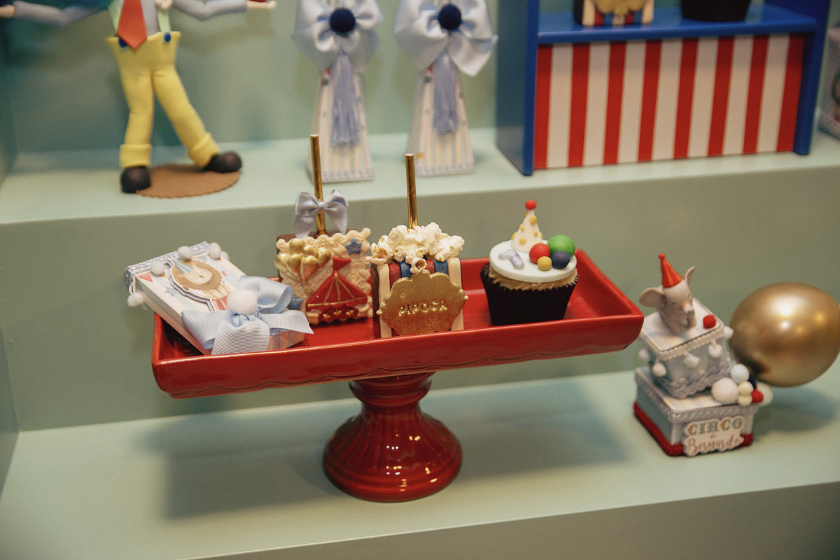 aniversario - aniversario infantil - tema circo - aniversario de circo - Bernardo 1 ano - aniversario em jaragua do sul - fotografos jaragua do sul - chroma fotografia