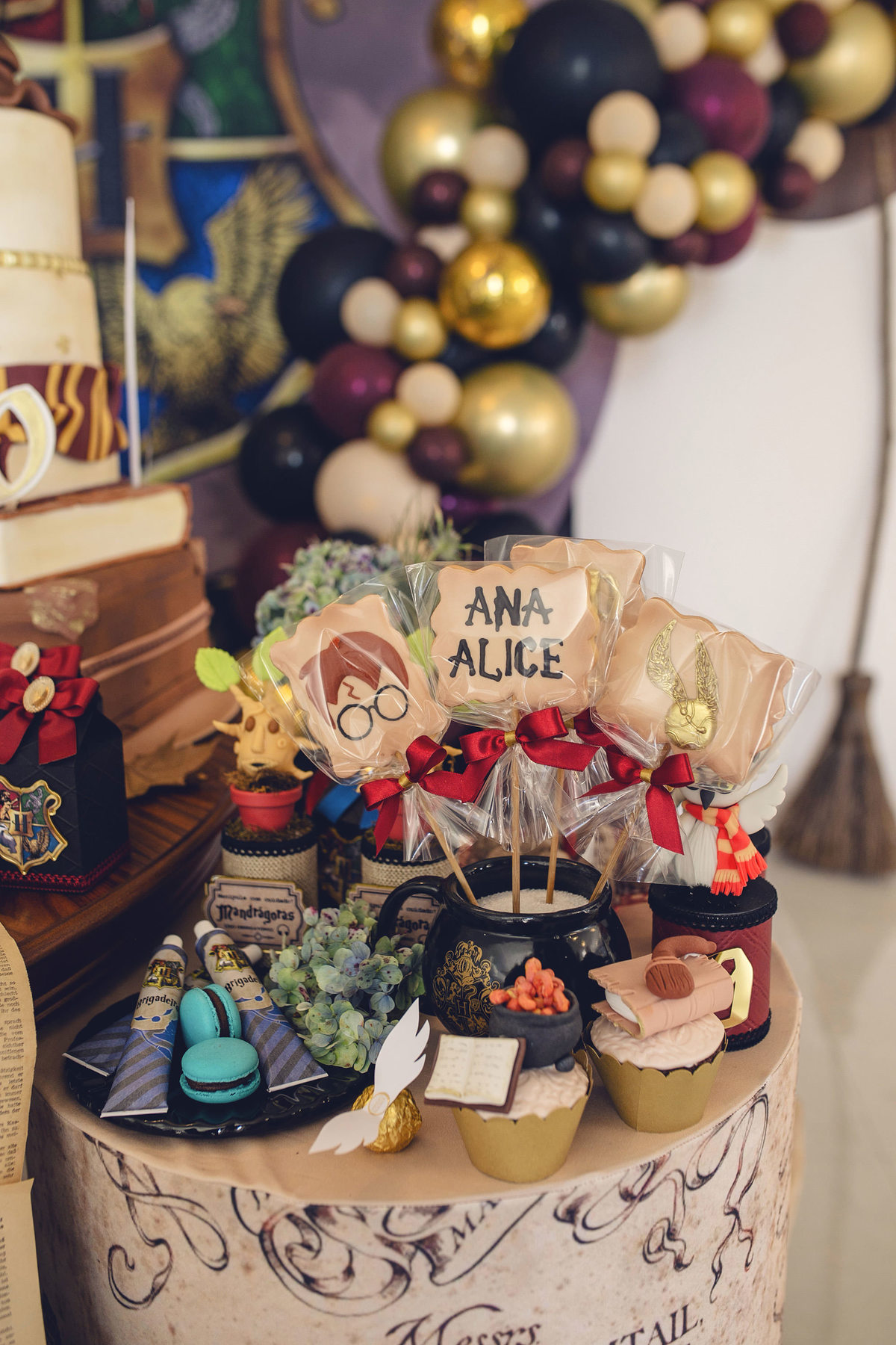 aniversario - aniversario infantil - ana Alice 10 anos - aniversario em jaragua do sul - tema harry potter - fotografos jaragua do sul - chroma fotografia