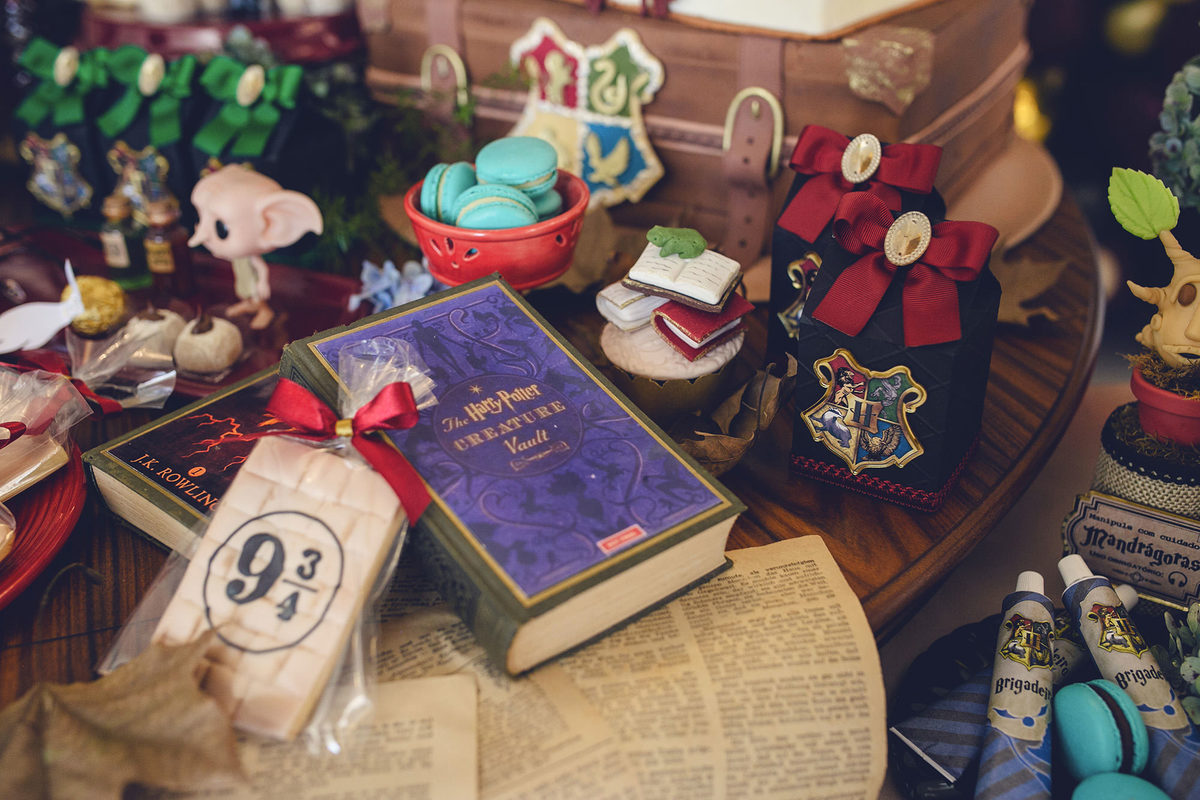 aniversario - aniversario infantil - ana Alice 10 anos - aniversario em jaragua do sul - tema harry potter - fotografos jaragua do sul - chroma fotografia