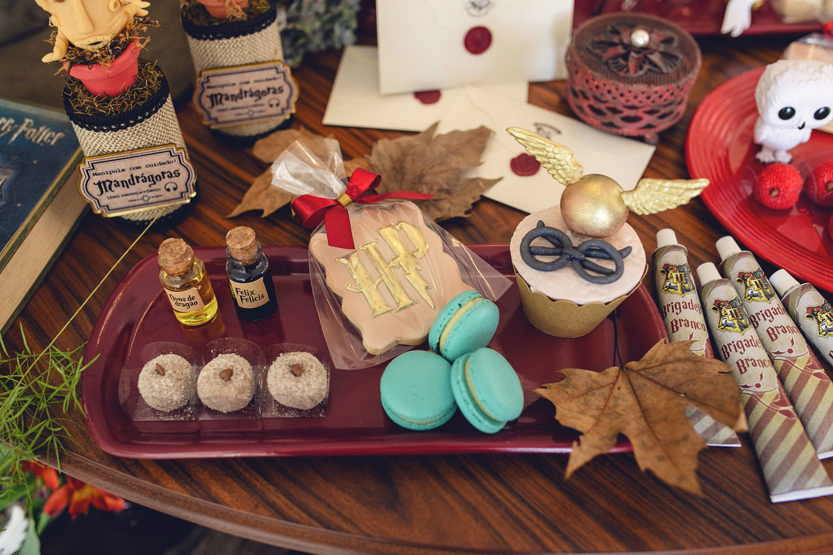 aniversario - aniversario infantil - ana Alice 10 anos - aniversario em jaragua do sul - tema harry potter - fotografos jaragua do sul - chroma fotografia