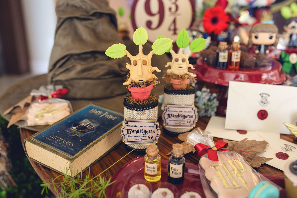 aniversario - aniversario infantil - ana Alice 10 anos - aniversario em jaragua do sul - tema harry potter - fotografos jaragua do sul - chroma fotografia