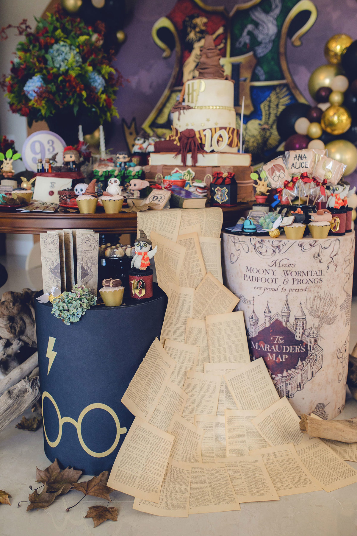 aniversario - aniversario infantil - ana Alice 10 anos - aniversario em jaragua do sul - tema harry potter - fotografos jaragua do sul - chroma fotografia