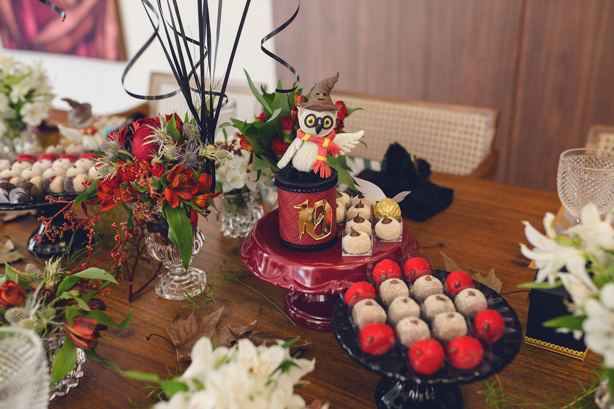 aniversario - aniversario infantil - ana Alice 10 anos - aniversario em jaragua do sul - tema harry potter - fotografos jaragua do sul - chroma fotografia