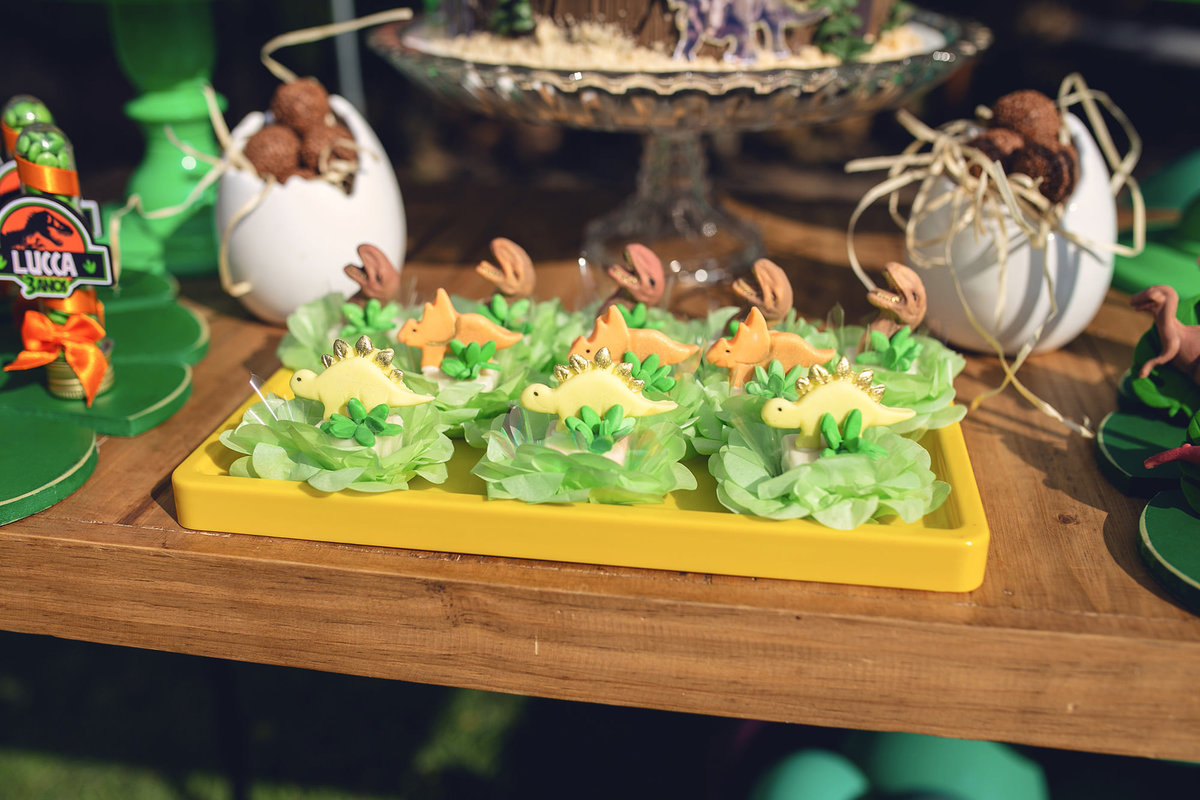 aniversario - aniversario infantil - Lucca 3 anos - aniversario em casa - aniversario em jaragua do sul - fotografos jaragua do sul - chroma fotografia