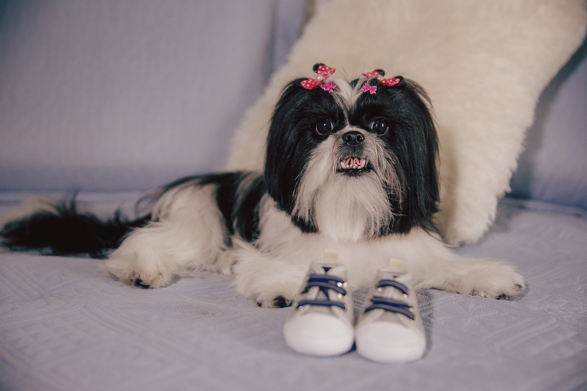 ensaio gestante - gestante - ensaio em casa - ensaio jaragua do sul - fotografos jaragua do sul - chroma fotografia