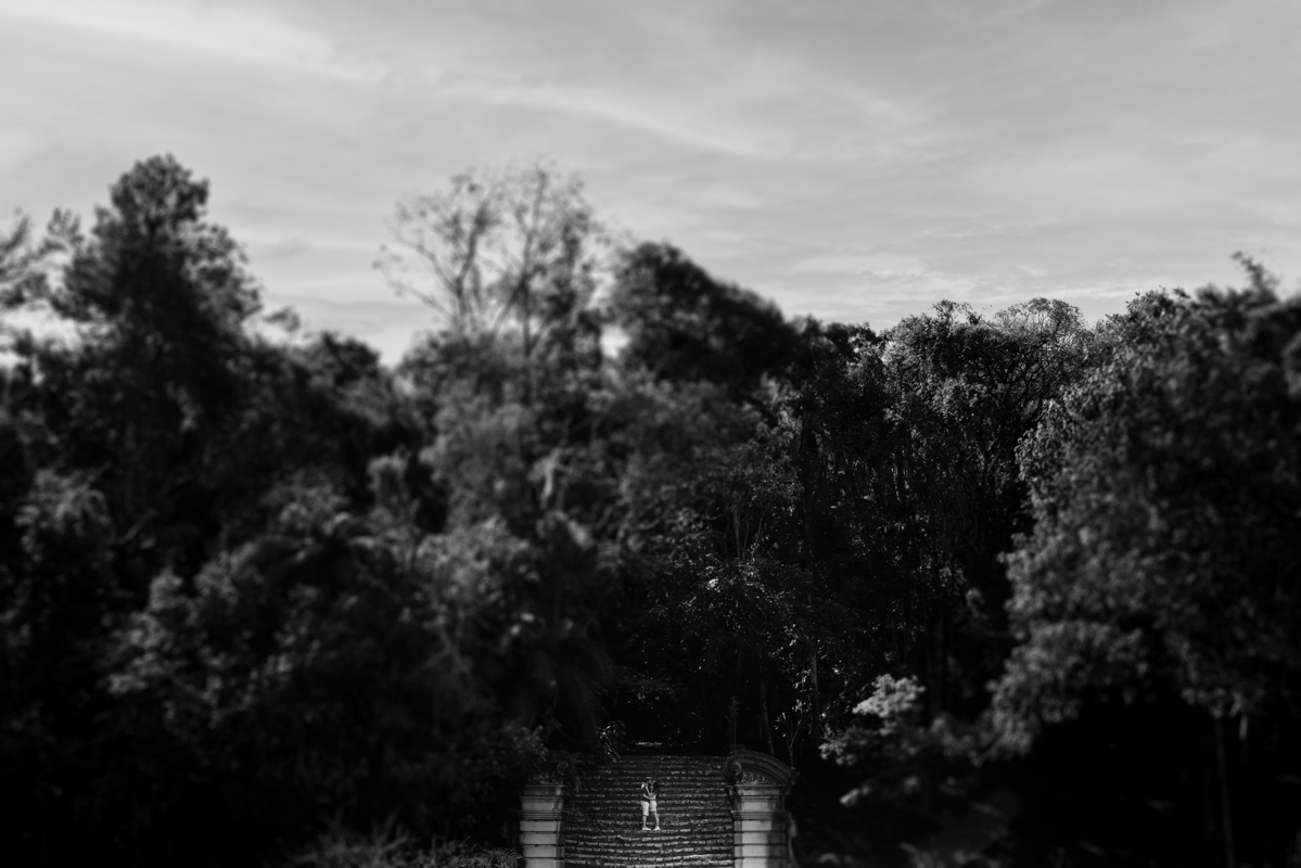 ensaio casal Jardim Botânico São Paulo, fotos externas São Paulo, ensaio fotográfico casal, fotografia de casal em São Paulo, fotógrafo Jardim Botânico, ensaio fotográfico natural, fotos de casal com cumplicidade, fotografia personalizada de casal