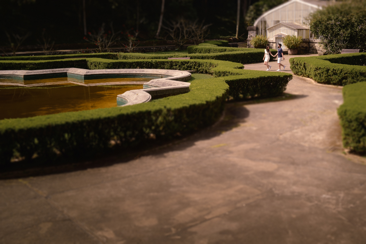 ensaio casal Jardim Botânico São Paulo, fotos externas São Paulo, ensaio fotográfico casal, fotografia de casal em São Paulo, fotógrafo Jardim Botânico, ensaio fotográfico natural, fotos de casal com cumplicidade, fotografia personalizada de casal