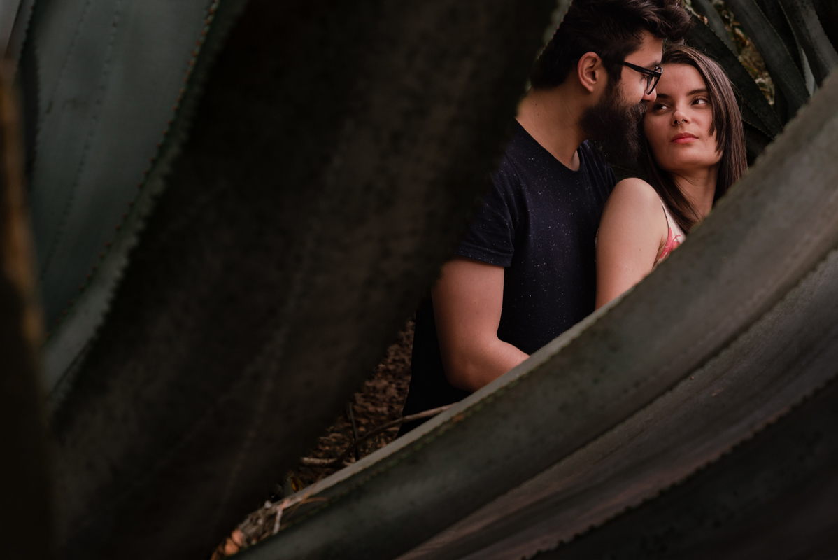 ensaio casal Jardim Botânico São Paulo, fotos externas São Paulo, ensaio fotográfico casal, fotografia de casal em São Paulo, fotógrafo Jardim Botânico, ensaio fotográfico natural, fotos de casal com cumplicidade, fotografia personalizada de casal