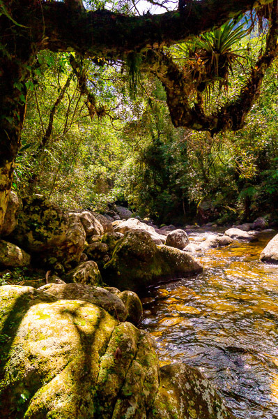 Parnaso-Petrópolis