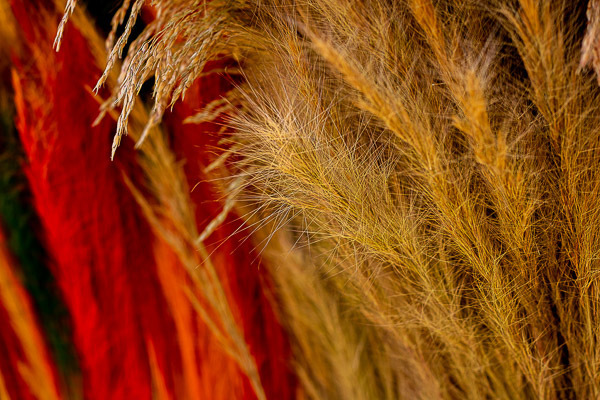 Texturas