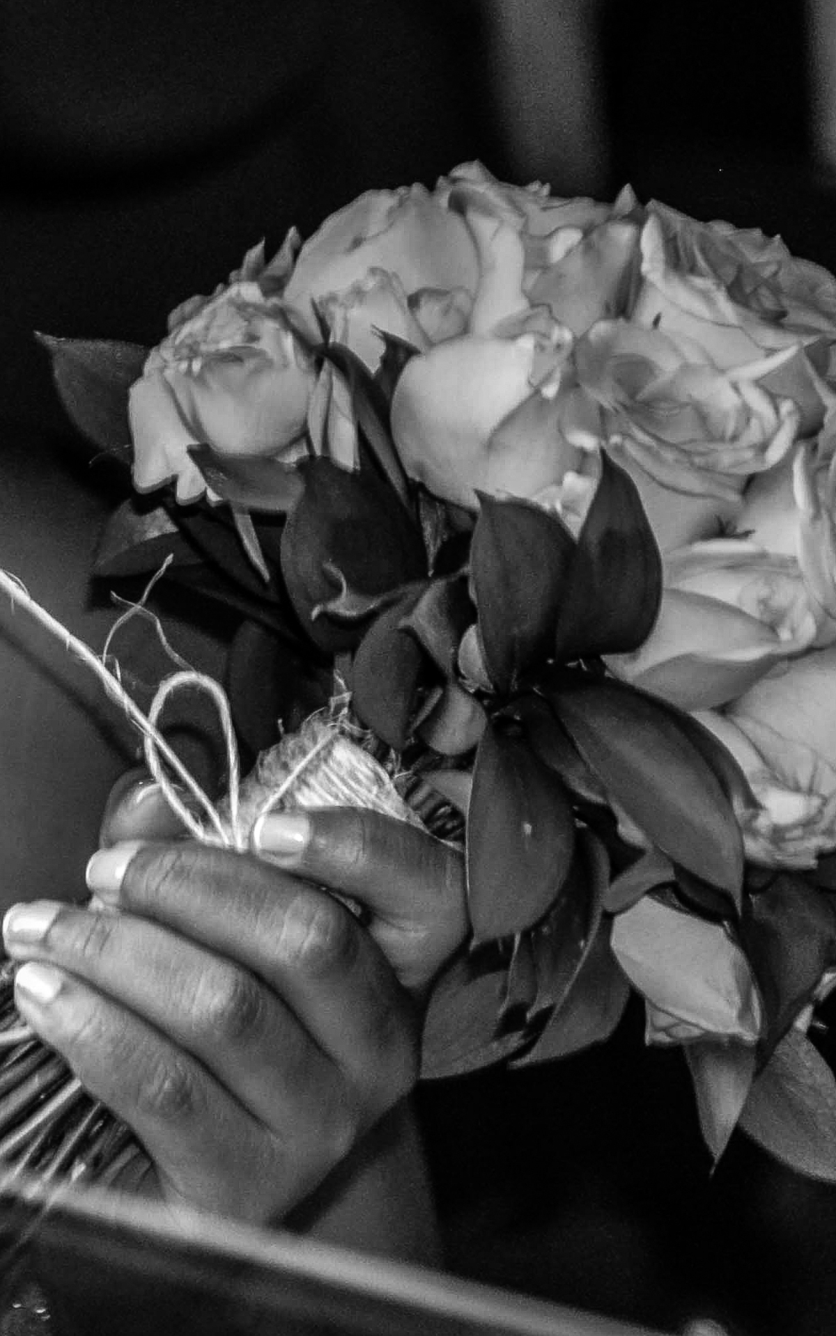 Ana Paula & Estefano