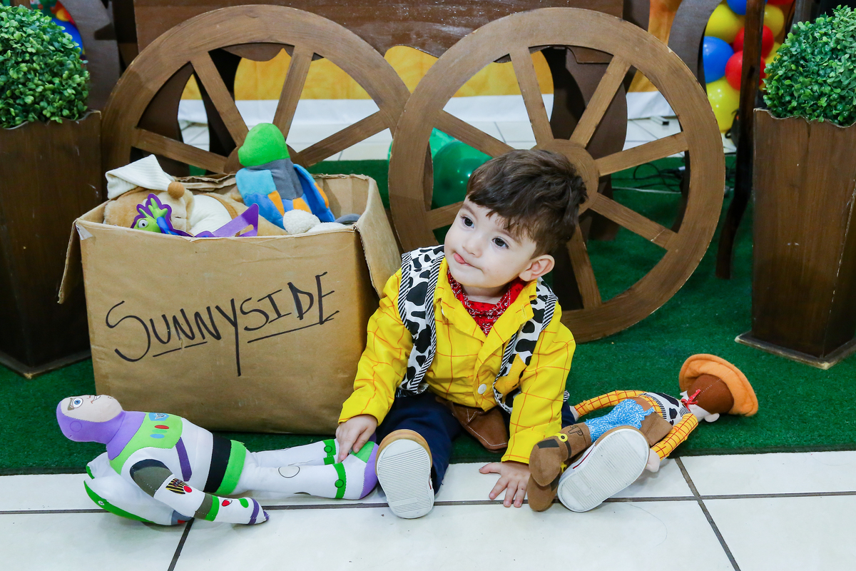 Aniversário 1 aninho