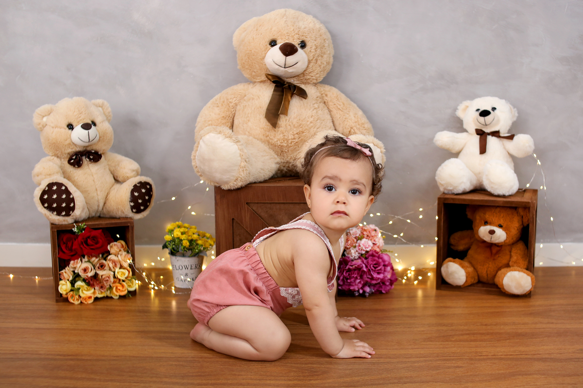 Acompanhamento mensal - 11 meses