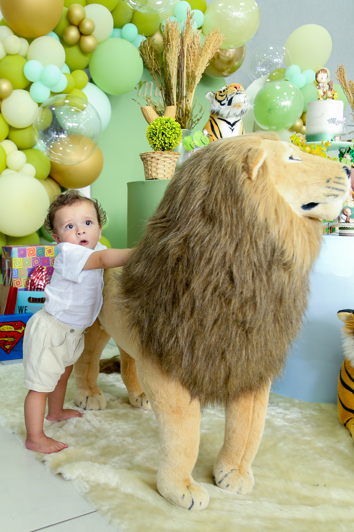 Aniversário 1 aninho