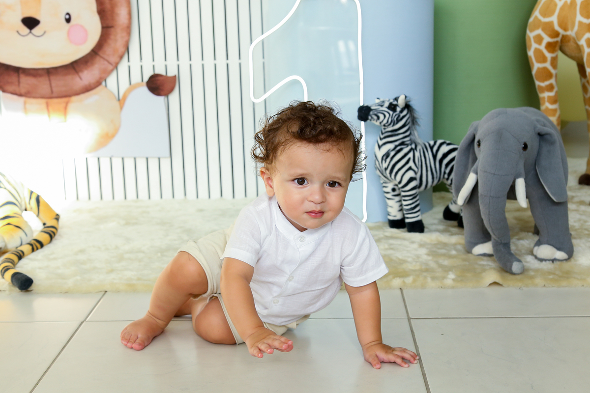 Aniversário 1 aninho
