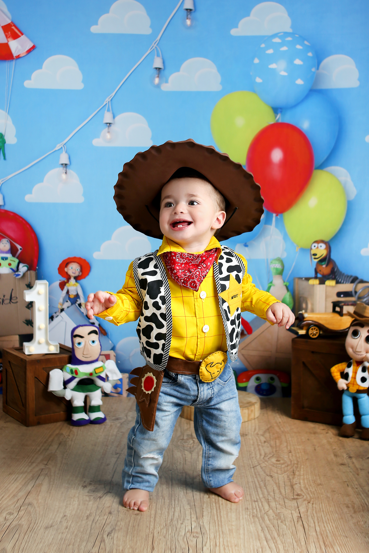 Acompanhamento mensal - 12 meses