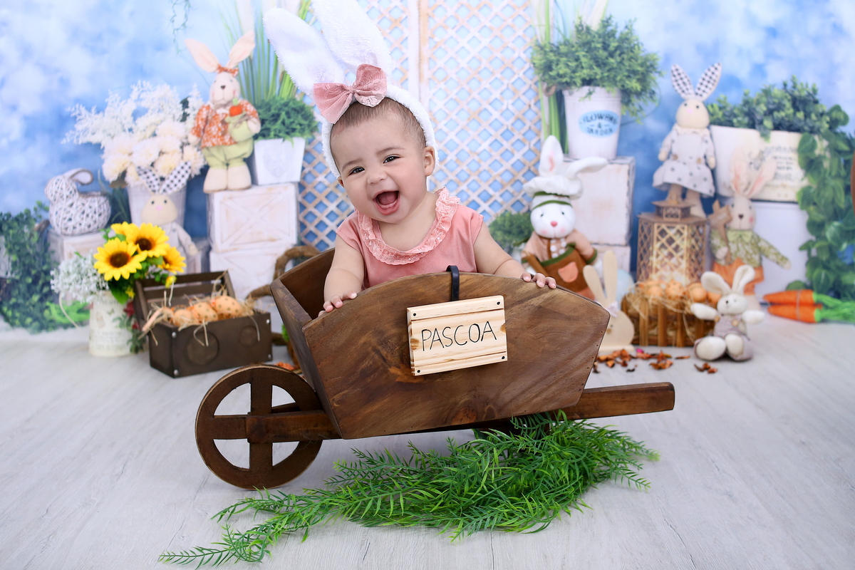 Acompanhamento mensal 7 meses