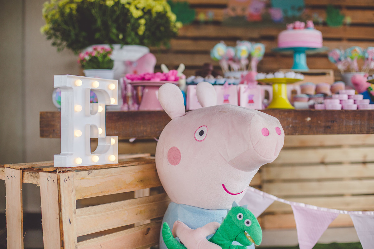 aniversario-infantil-festa-book-fotografico-peppa-brasilia