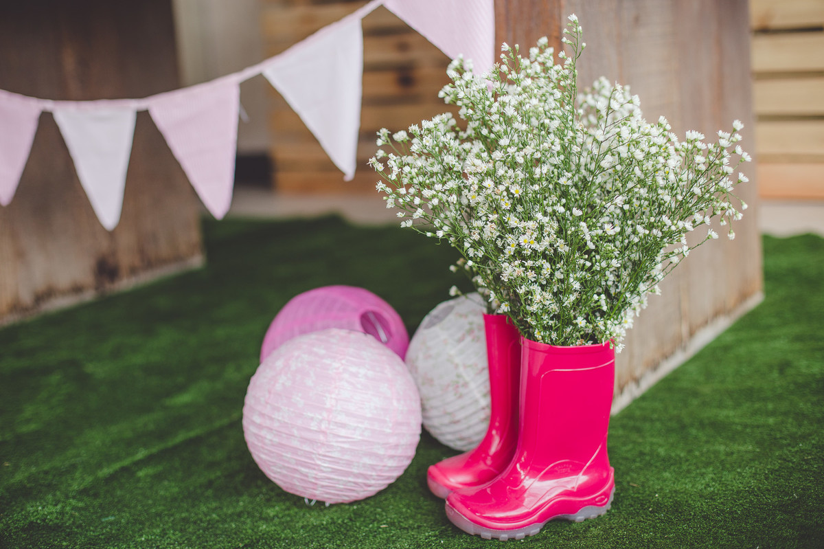 aniversario-infantil-festa-book-fotografico-peppa-brasilia