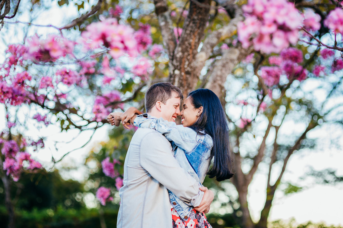 book-fotografico-ensaio-casal-brasilia-ipe